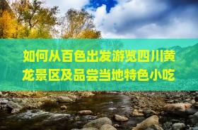 如何从百色出发游览四川黄龙景区及品尝当地特色小吃？