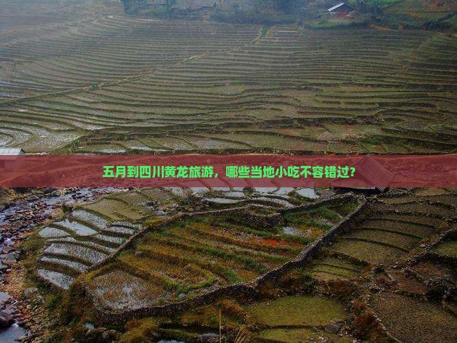 五月到四川黄龙旅游，哪些当地小吃不容错过？