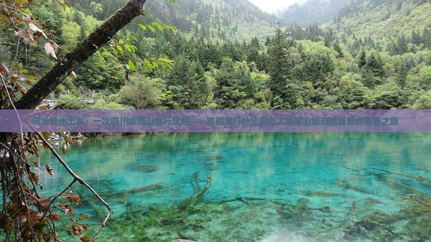 河北钦州出发：一次四川峨眉山旅行攻略——成都旅行社定制个人峨眉山旅游路线景点看看之旅