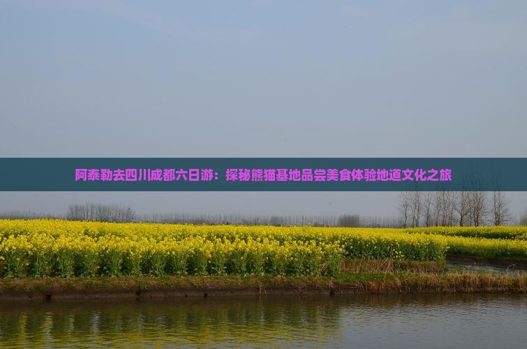 阿泰勒去四川成都六日游：探秘熊猫基地品尝美食体验地道文化之旅