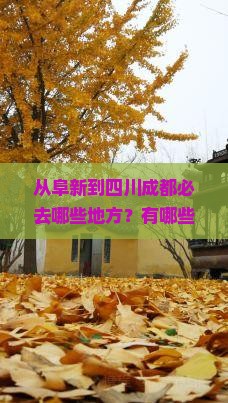 从阜新到四川成都必去哪些地方？有哪些景点推荐？