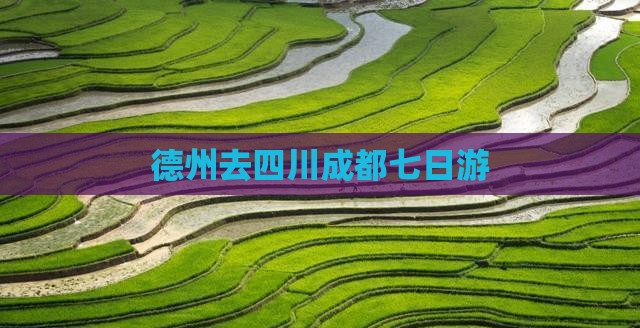 德州去四川成都七日游