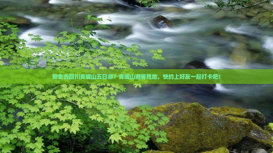 新余去四川青城山五日游？青城山避暑胜地，快约上好友一起打卡吧！