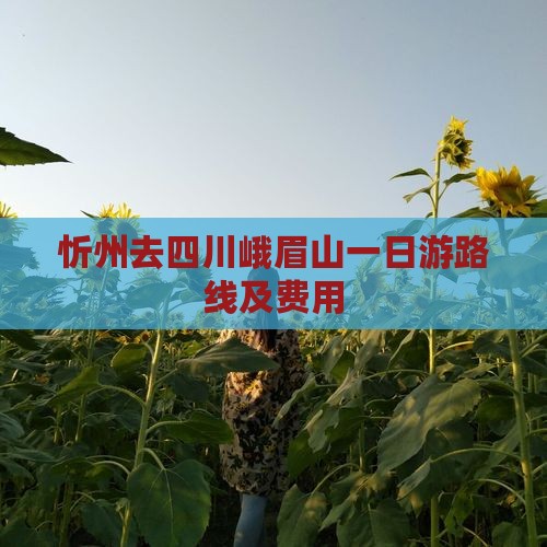 忻州去四川峨眉山一日游路线及费用