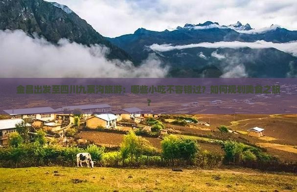 金昌出发至四川九寨沟旅游：哪些小吃不容错过？如何规划美食之旅？