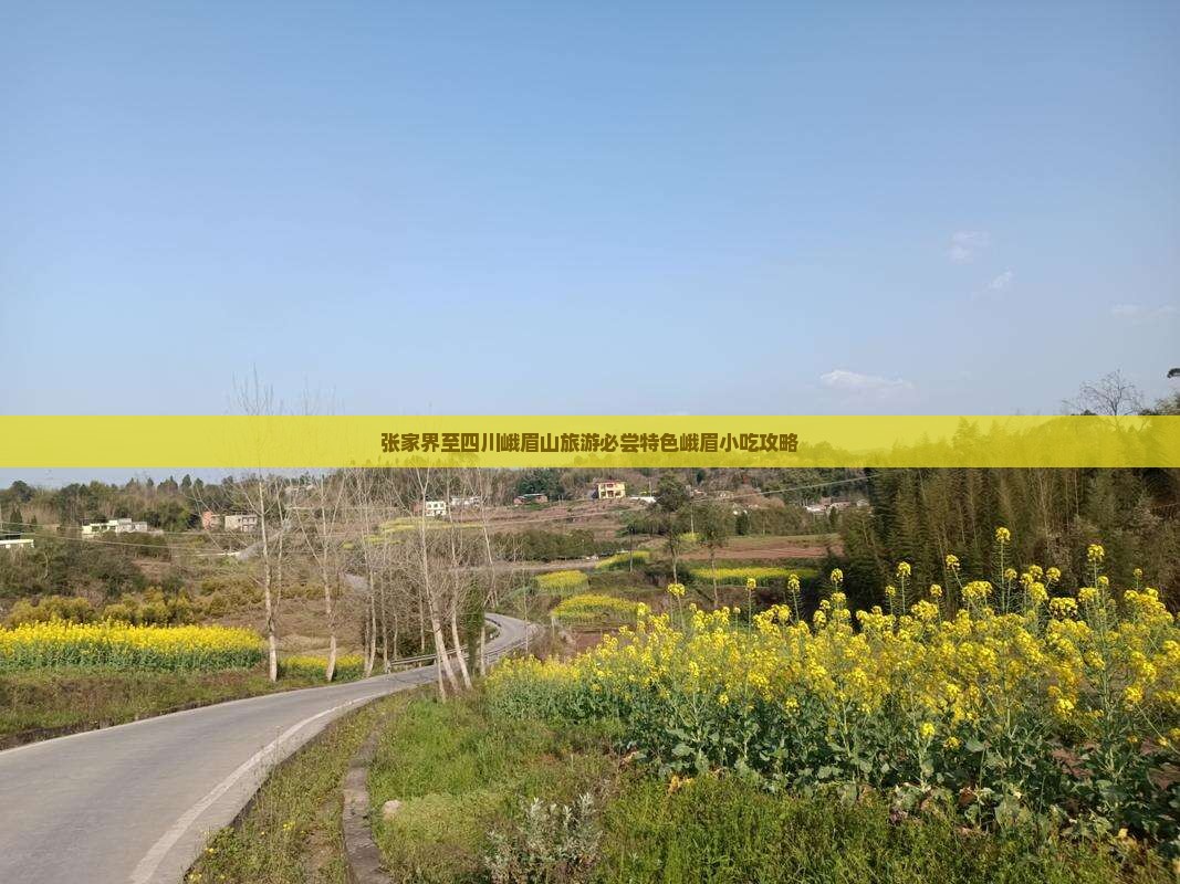 张家界至四川峨眉山旅游必尝特色峨眉小吃攻略