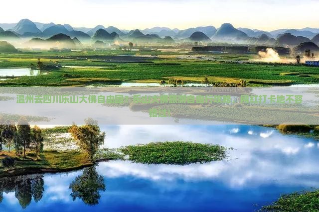 温州去四川乐山大佛自由团？乐山大佛旅游自由行攻略，网红打卡地不容错过！