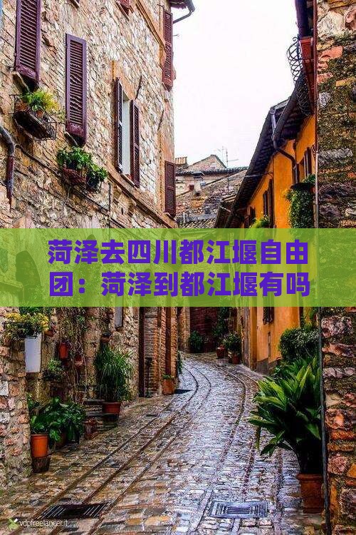 菏泽去四川都江堰自由团：菏泽到都江堰有吗