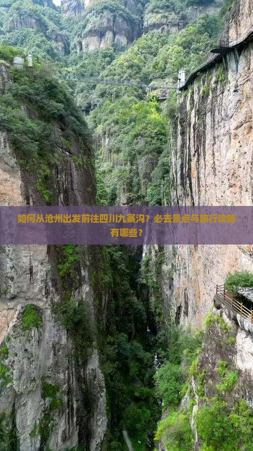 如何从沧州出发前往四川九寨沟？必去景点与旅行攻略有哪些？