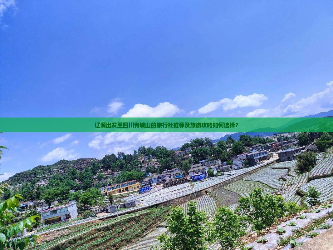 辽源出发至四川青城山的旅行社推荐及旅游攻略如何选择？