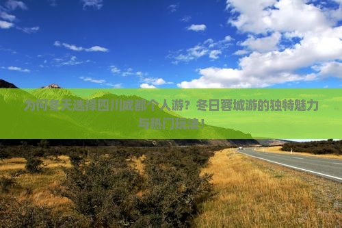 为何冬天选择四川成都个人游？冬日蓉城游的独特魅力与热门玩法！