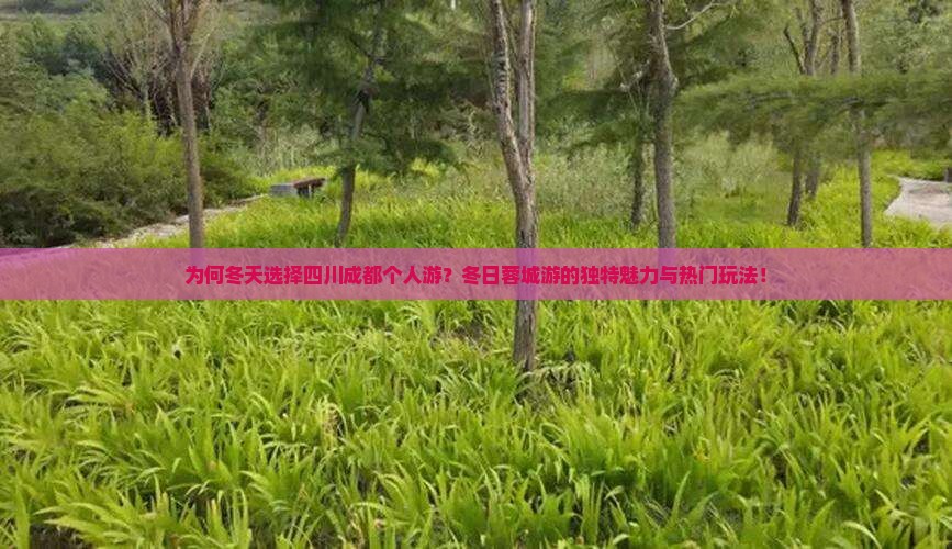 为何冬天选择四川成都个人游？冬日蓉城游的独特魅力与热门玩法！