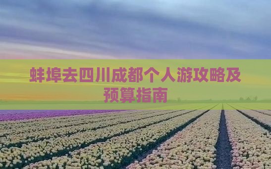 蚌埠去四川成都个人游攻略及预算指南