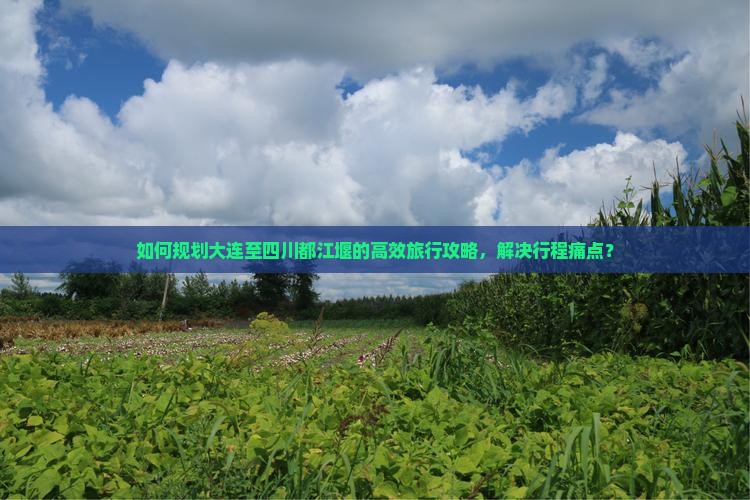 如何规划大连至四川都江堰的高效旅行攻略，解决行程痛点？