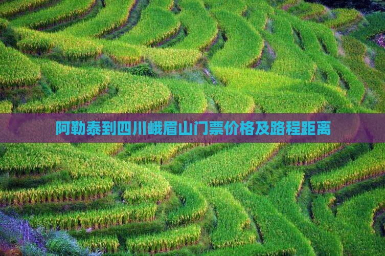 阿勒泰到四川峨眉山门票价格及路程距离