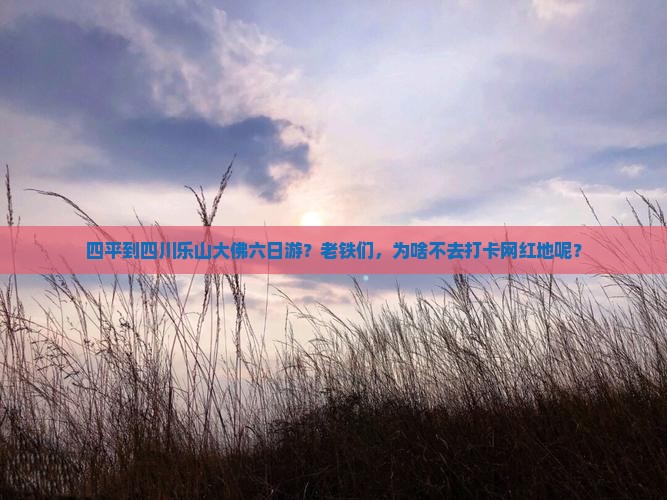 四平到四川乐山大佛六日游？老铁们，为啥不去打卡网红地呢？