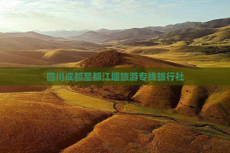 四川成都至都江堰旅游专线旅行社