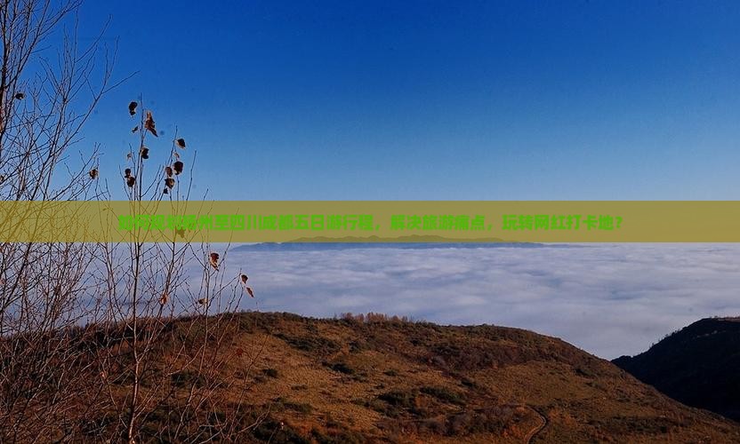 如何规划扬州至四川成都五日游行程，解决旅游痛点，玩转网红打卡地？