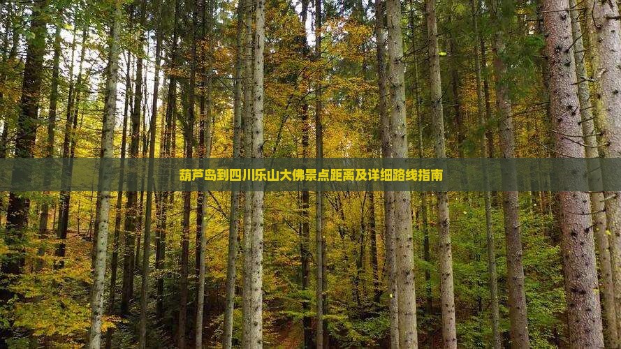 葫芦岛到四川乐山大佛景点距离及详细路线指南