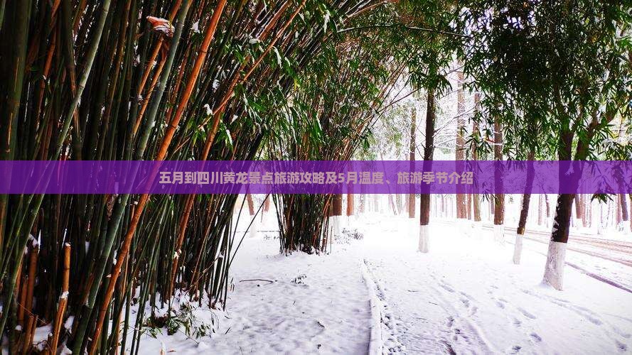 五月到四川黄龙景点旅游攻略及5月温度、旅游季节介绍