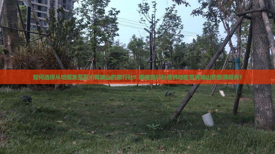 如何选择从哈闽发至四川青城山的旅行社？哪些旅行社提供哈密至青城山的旅游服务？