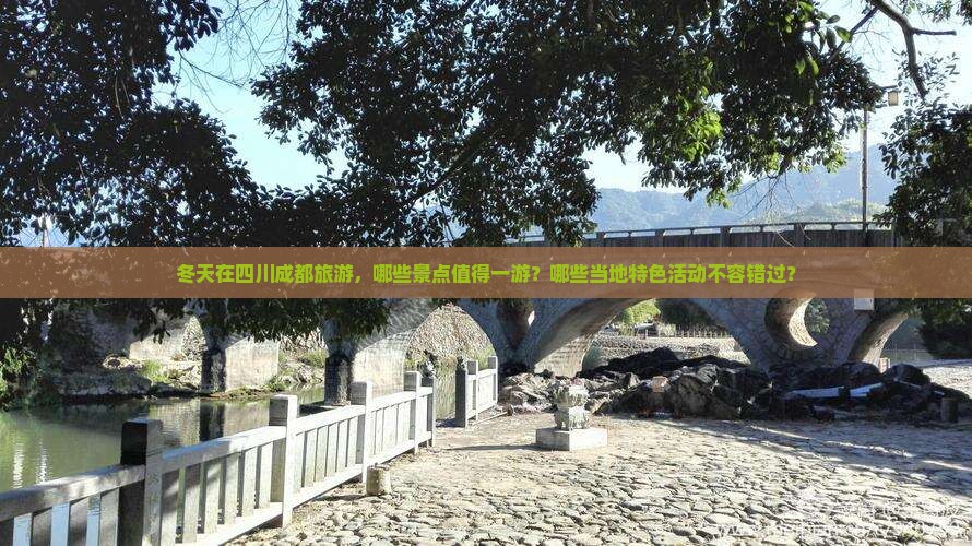 冬天在四川成都旅游，哪些景点值得一游？哪些当地特色活动不容错过？