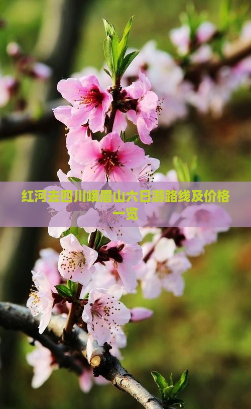 红河去四川峨眉山六日游路线及价格一览