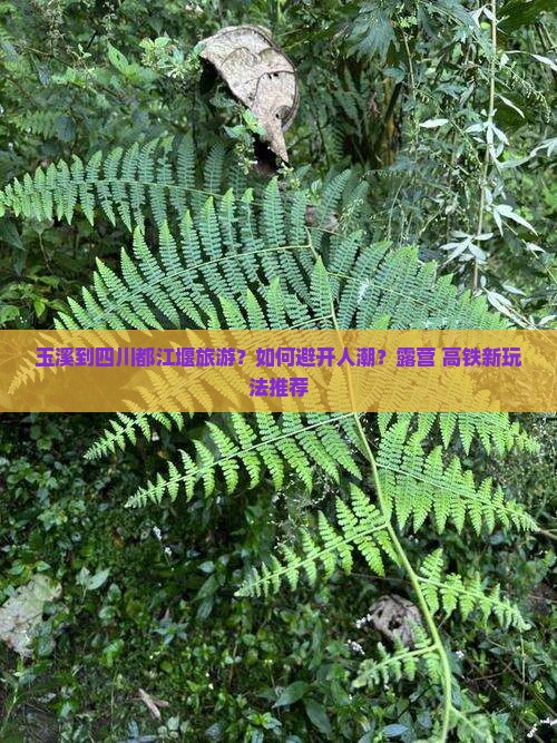 玉溪到四川都江堰旅游？如何避开人潮？露营+高铁新玩法推荐