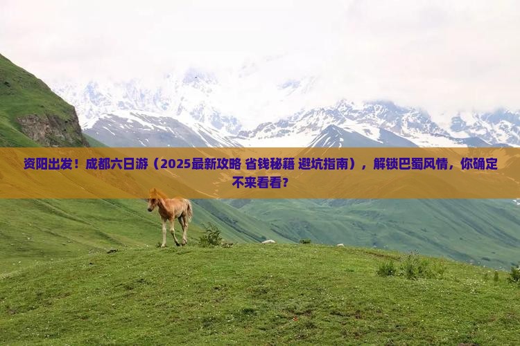 资阳去四川成都六日游