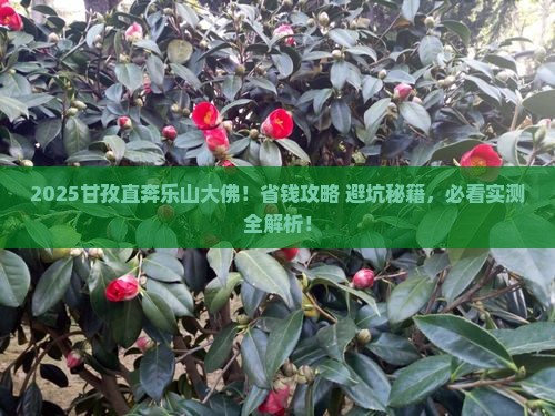 甘孜到四川乐山大佛旅行社