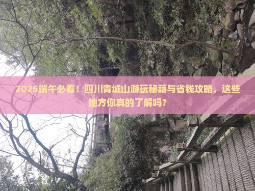端午节到四川青城山哪里玩