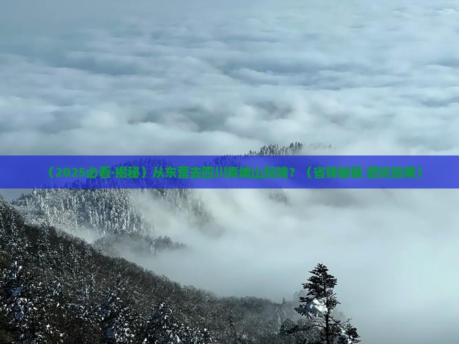 东营到四川青城山哪里玩