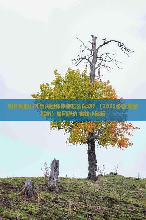 银川到四川九寨沟团体旅游