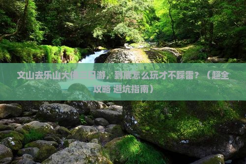 文山去四川乐山大佛三日游
