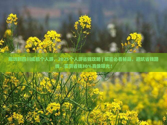 廊坊到四川成都个人游