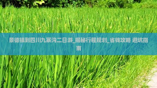 景德镇到四川九寨沟二日游