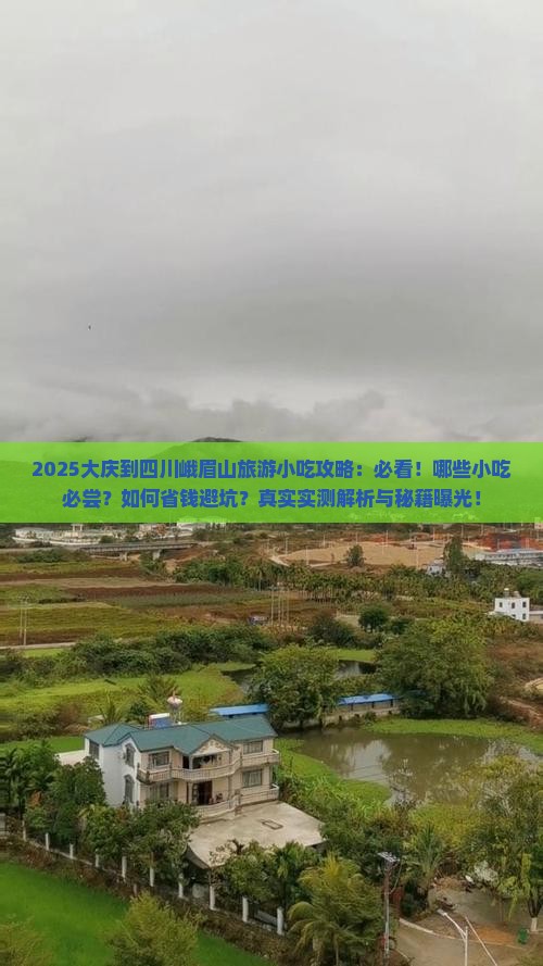 大庆到四川峨眉山旅游小吃