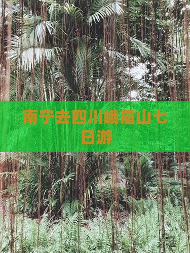 南宁去四川峨眉山七日游