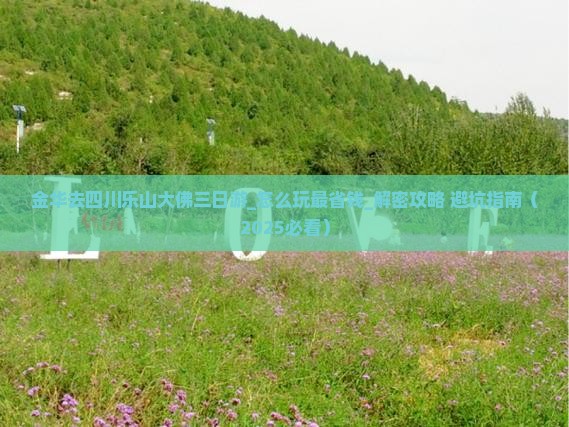 金华去四川乐山大佛三日游