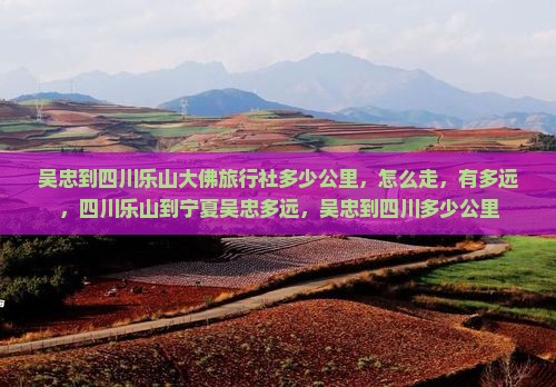 吴忠到四川乐山大佛旅行社