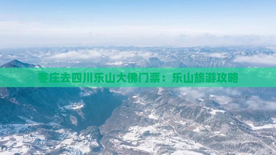 枣庄去四川乐山大佛门票