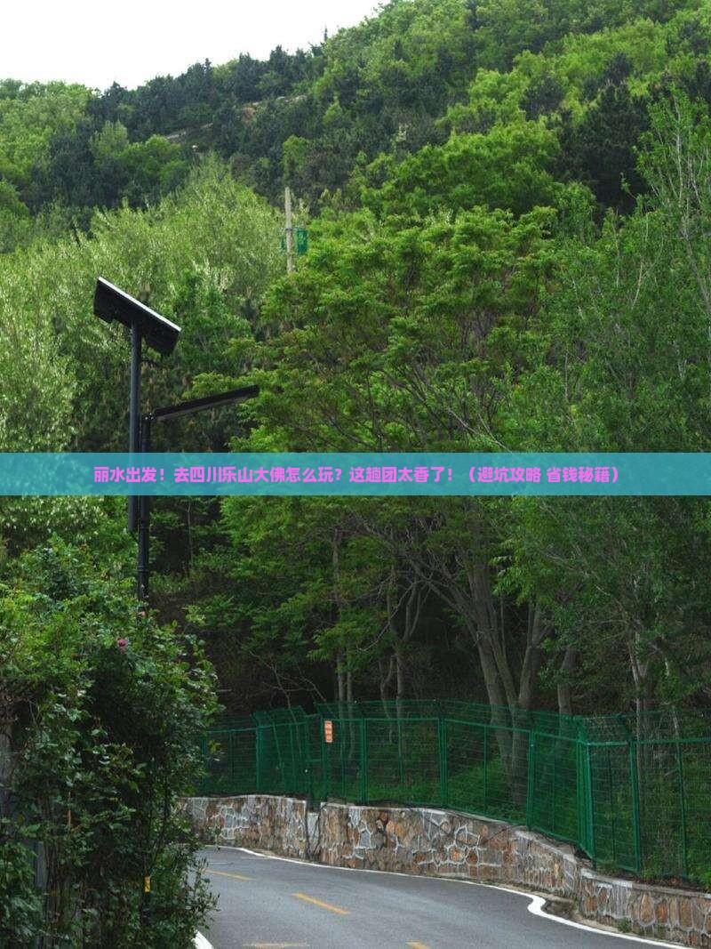 丽水到四川乐山大佛大型旅游团