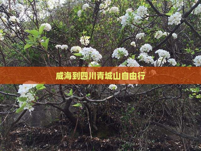威海到四川青城山自由行