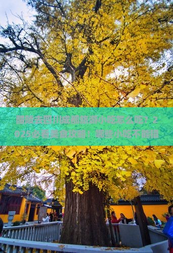 醴陵去四川成都旅游小吃