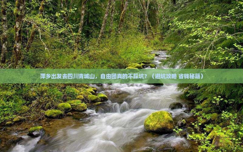 萍乡去四川青城山自由团