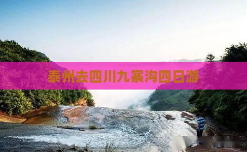 泰州去四川九寨沟四日游