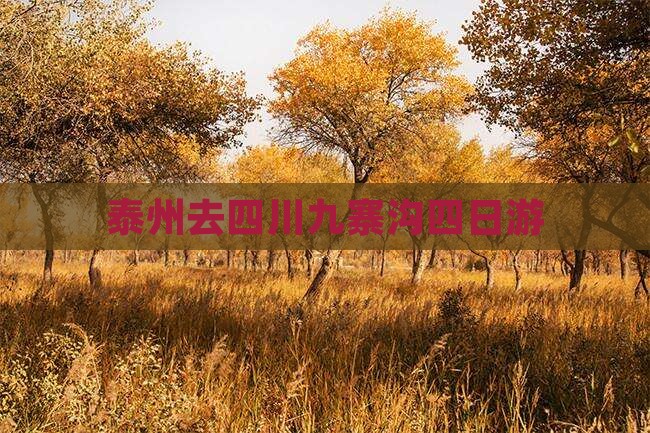 泰州去四川九寨沟四日游