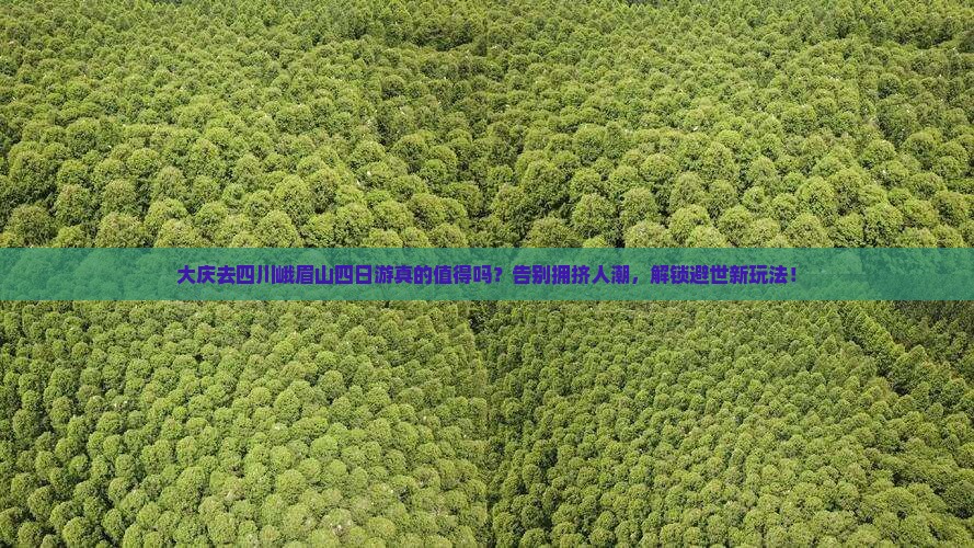 大庆去四川峨眉山四日游
