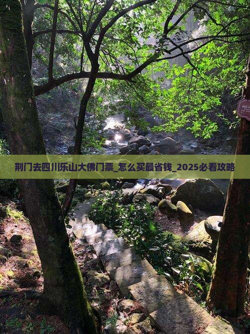 荆门去四川乐山大佛门票
