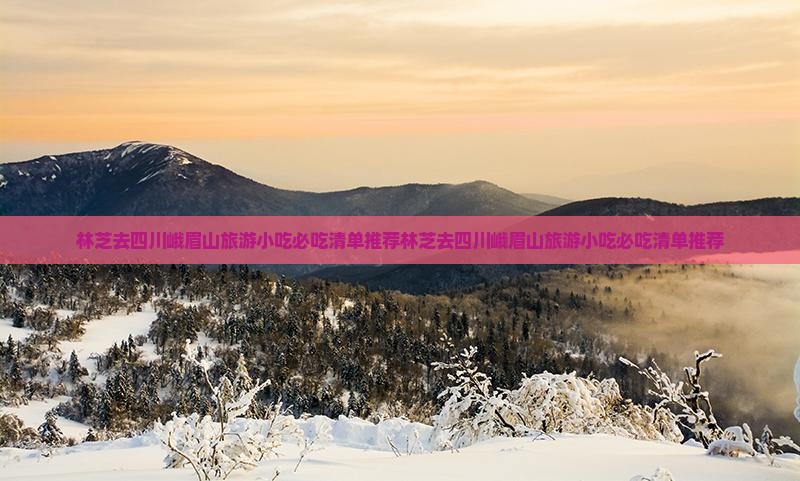 林芝去四川峨眉山旅游小吃 林芝去四川峨眉山旅游小吃